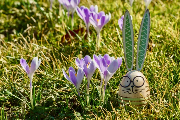 Nieuwe subsidiekansen: de lentekalender van 2025