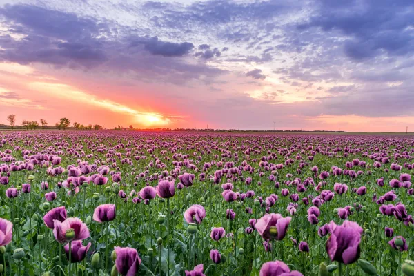 Het Europese LIFE Programme - ondersteuning voor een duurzame, circulaire, klimaatneutrale economie